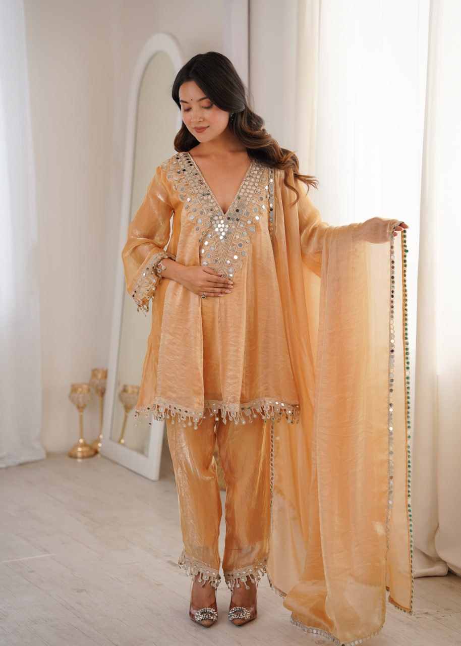 Festive Special Suit Set for Women – Rich Look Design