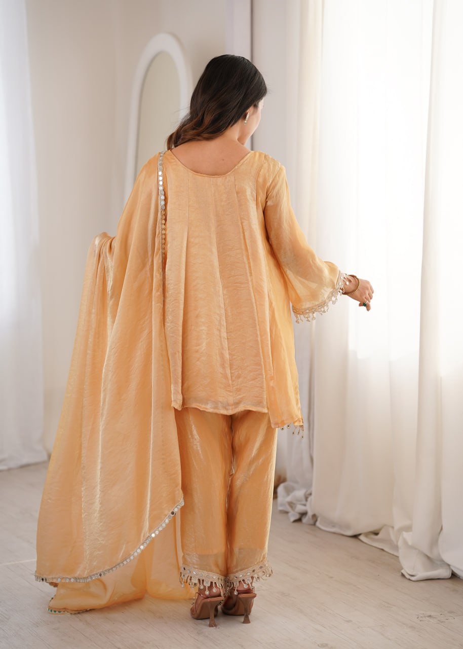 Festive Special Suit Set for Women – Rich Look Design
